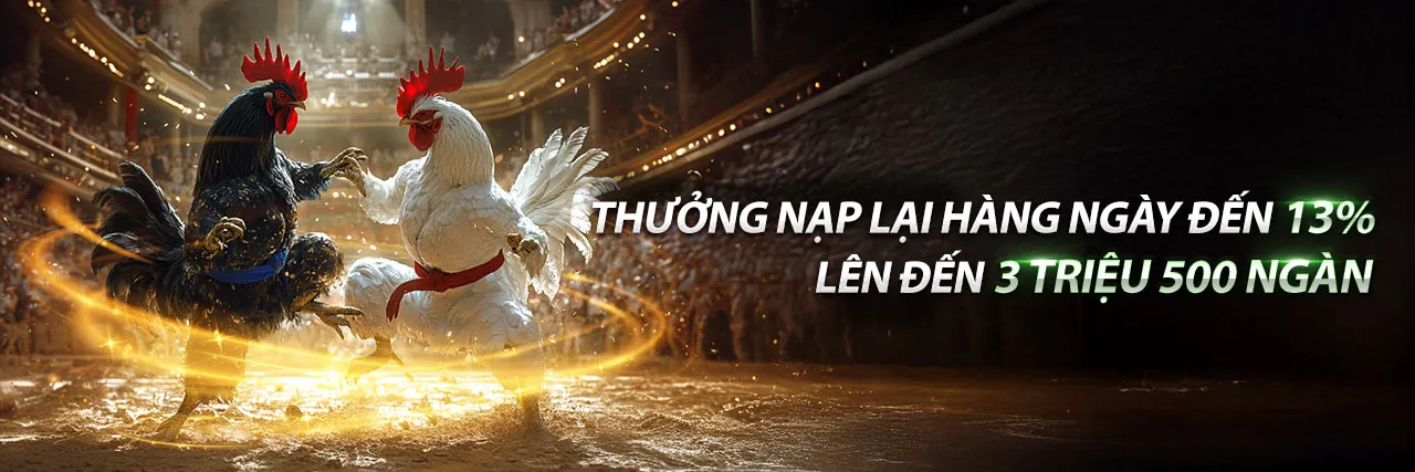 Hình ảnh đá gà trực tuyến tại Win68 Bet